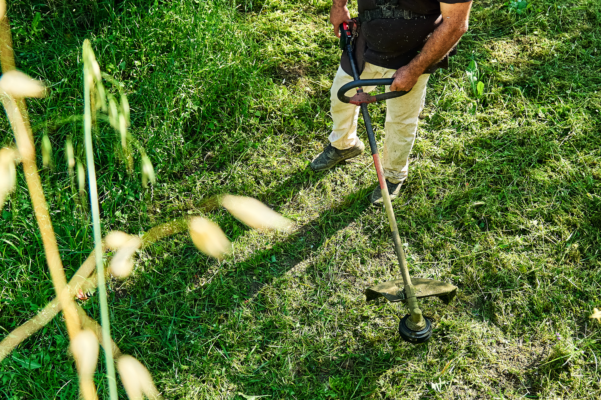 Garden maintenance using a grass trimmer at a Cornwall property